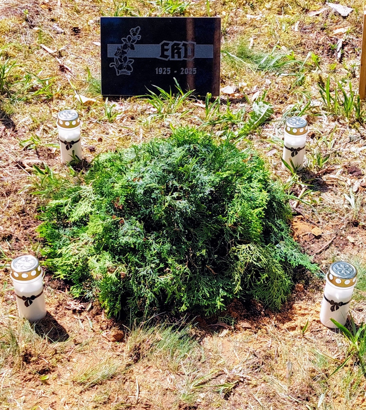 Mälestuspaik küünaldega